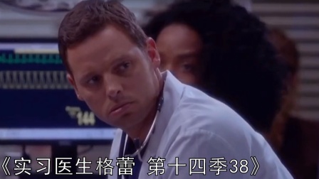 实习医生格蕾第十四季 全集 电视剧 免费在线观看