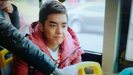 神犬小七第一季