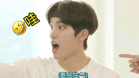 李灿seventeen皇族 搜狗搜索