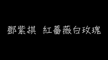 红蔷薇白玫瑰歌词解读 搜狗搜索