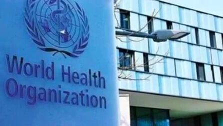 人类资金 高清电影 完整版在线观看