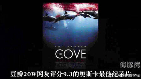海豚湾 高清电影 完整版在线观看
