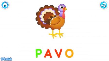 孔雀英语怎么读 搜狗搜索