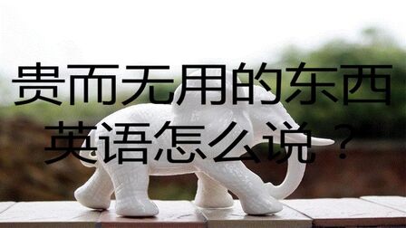 它是无用的东西英语 搜狗搜索