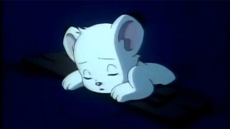 森林大帝65版 前进 雷欧 全集 电视剧 免费在线观看