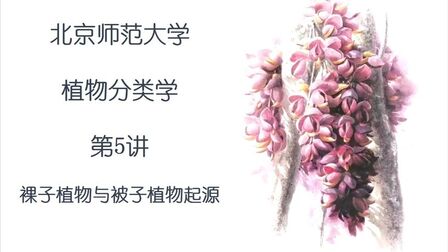 被子植物和裸子植物的区别 搜狗搜索