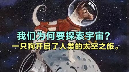 太空狗 高清电影 完整版在线观看