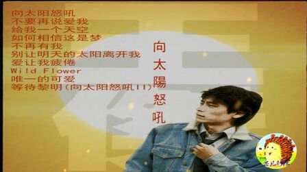 向太阳怒吼 全集 电视剧 免费在线观看