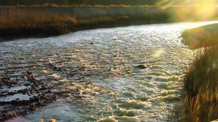 Rely On中文 搜狗搜索