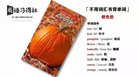 橙色怎么读英语单词 搜狗搜索