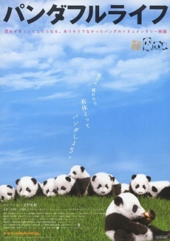 大熊猫的生活剧照