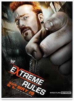 WWE:极限规则 2013