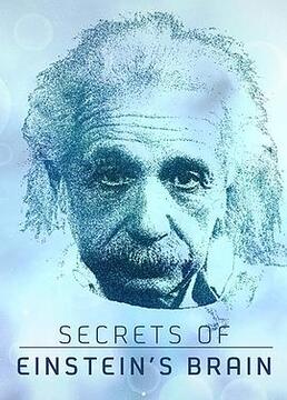 爱因斯坦大脑的秘密
