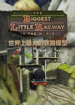 世界上最大的铁路模型剧照