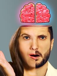 你的大脑是男是女？