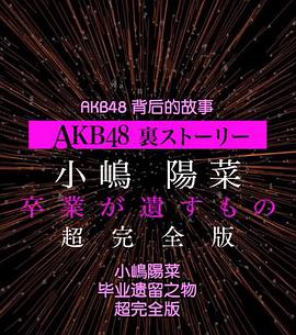 AKB48背后的故事特别篇 小嶋阳菜毕业遗留之物