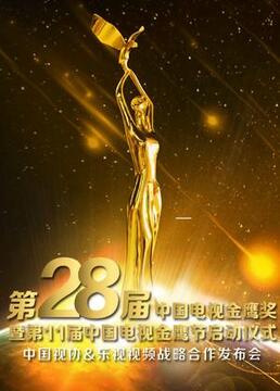 第28届中国电视金鹰奖