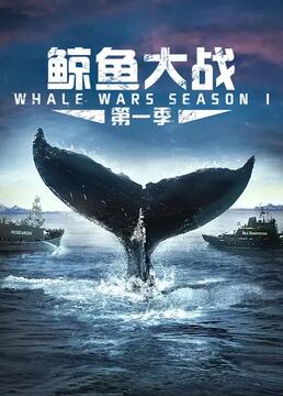鲸鱼大战第一季