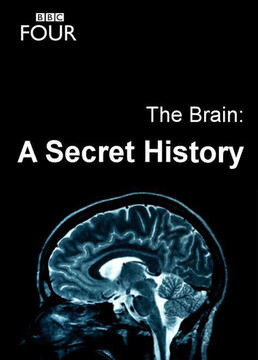 bbc纪录片大脑神秘的历史