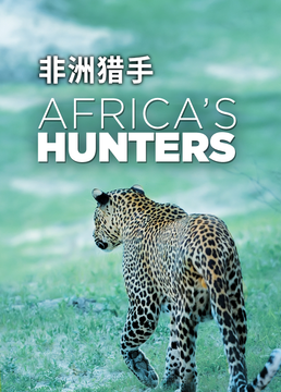 非洲猎手第一季剧照