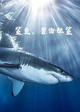 鲨鱼碧海狂鲨剧照