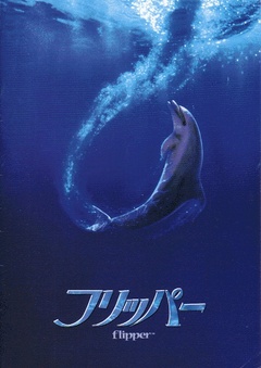 海豚的故事