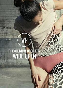 thechemicalbrothersfeatbeckwideopen剧照