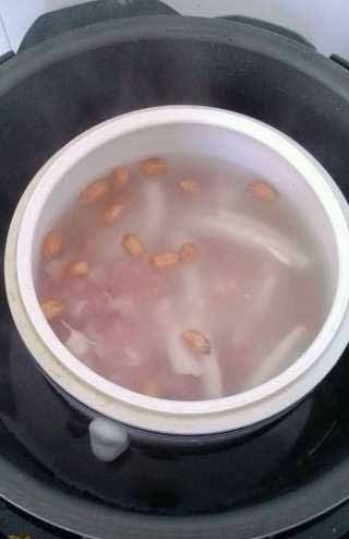 鸽子椰子汤的做法 椰子汤的做法