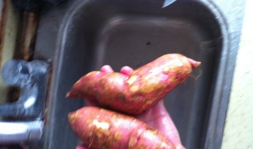 怎样使用微波炉烤红薯 使用微波炉怎么烤红薯
