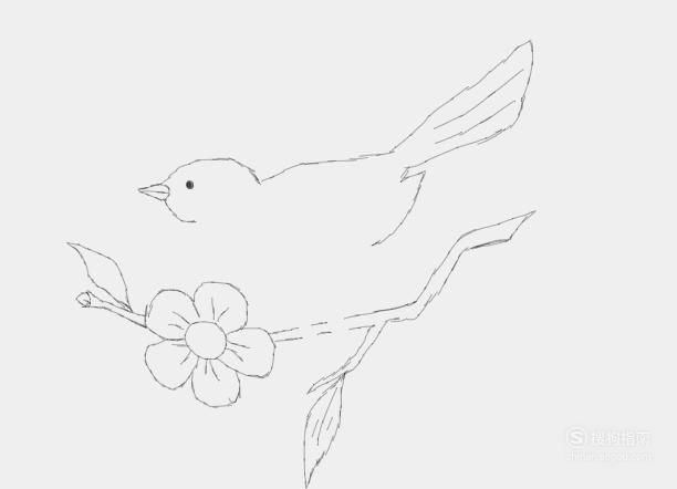 小鸟怎么画简单又好看还会飞 小鸟怎么画简单又好看
