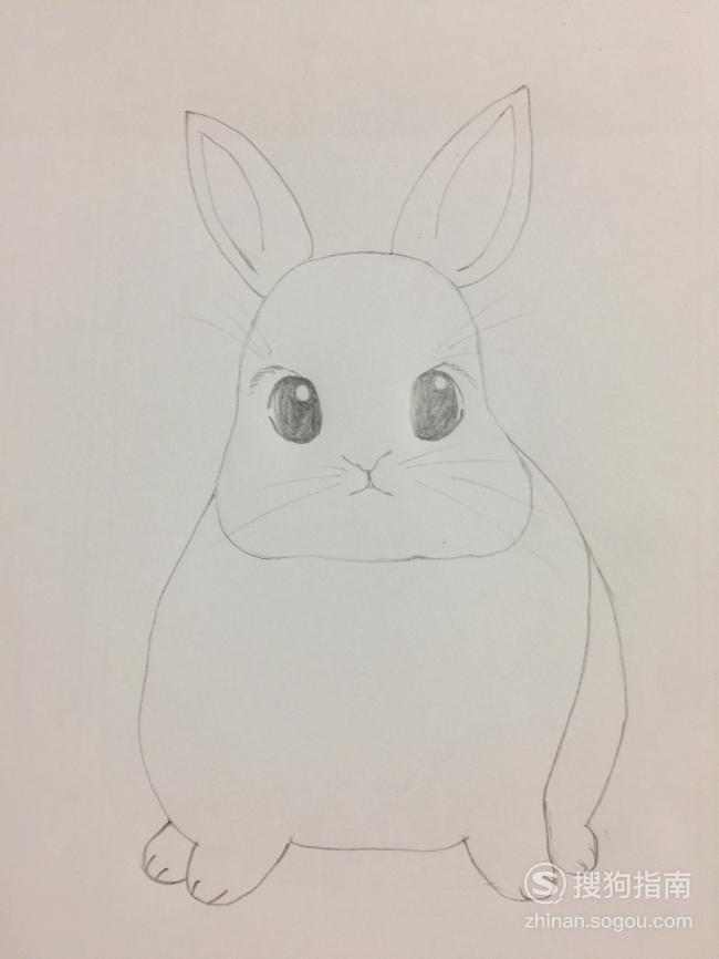 兔子的简笔画 萌萌 简笔画之萌萌的小兔子
