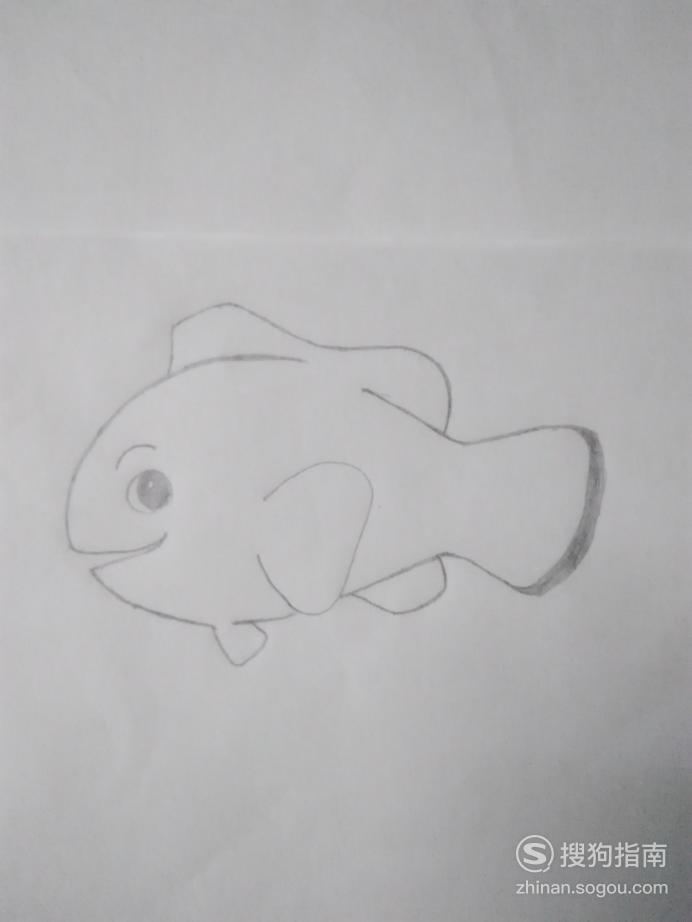 简笔画小丑鱼的画法步骤 简笔画小丑鱼的画法优质