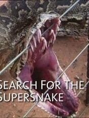 国家地理杂志:超级大蛇