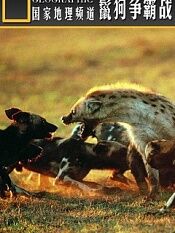 鬣狗争霸战