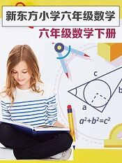 新东方小学六年级数学下册