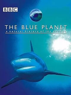 蓝色星球海洋的自然历史