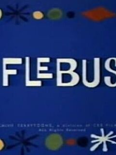 Flebus