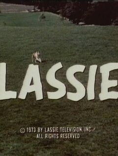 Lassie: Peace Is Our Profession (TV)