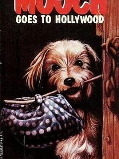 一条流浪狗带你游遍好莱坞